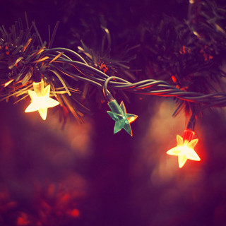 Christmas tree lights star decoration - the branch of the tree free wallpaper