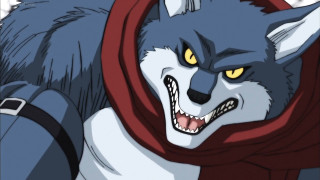 Cartoon wolf scarf collar red - its neck free wallpaper