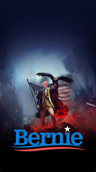 Bernie eagle flag man poster - a flag in the background free wallpaper