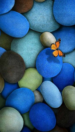 Butterfly sitting rock blue green 3 - ecological art free wallpaper