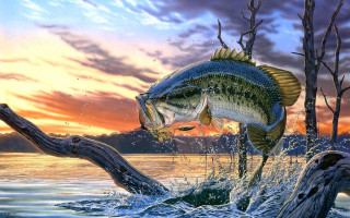 Bass jumping sunset tree branch - eric peterson free wallpaper