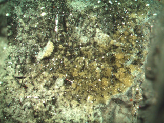 Close up rock dirt grass - dirt and grass free wallpaper