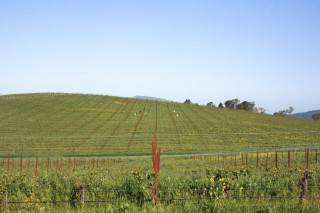 Large field fence hill trees - a large field free wallpaper