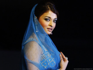 Woman blue veil dress posing - her face free wallpaper for desktop
