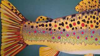 Spotted fish painting body tail - airbrush free wallpaper