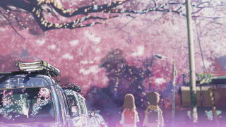 Car parked tree pink flowers - a suitcase free wallpaper