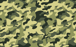 Camouflage green pattern similar image 2 - similar free wallpaper
