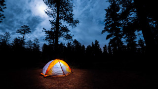 Tent lit dark woods night - night free wallpaper