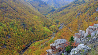 Valley river mountains autumn trees - autumn time free wallpaper