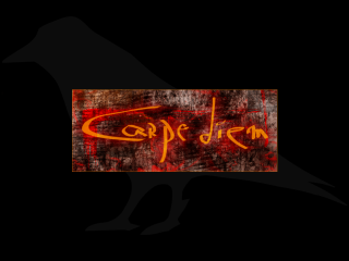 Black bird red yellow background - metaphysical free wallpaper