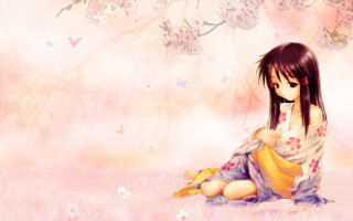 Girl field flowers teddy bear - a field of flowers free wallpaper