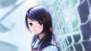 Girl long hair fence flower - a fence free wallpaper