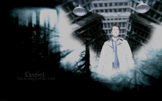 Man white coat blue tie - a white coat free wallpaper