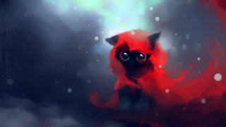 Red cat big eyes sitting - snow free wallpaper