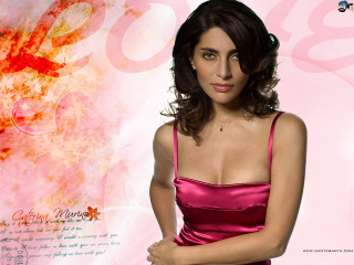 Pink dress woman crossed arms - a pink dress free wallpaper