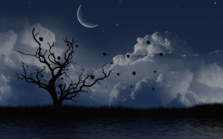 Tree field moon sky clouds - a moon in the sky above free wallpaper