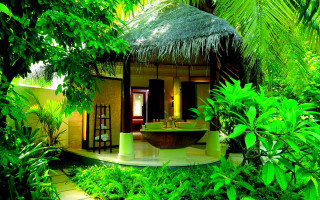 Tropical bathroom tub sink greenery - tropical free wallpaper
