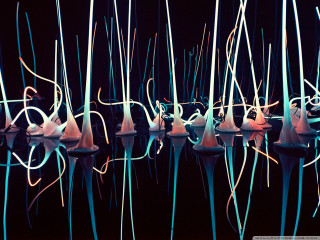 Sculptures sticks dark room water - thin free wallpaper