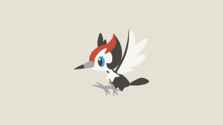Bird red head white wings - gray background free wallpaper