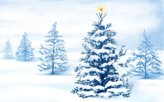 Christmas tree star snow covered - ground free wallpaper