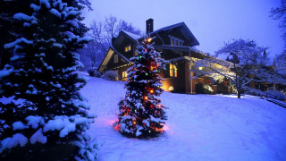 Christmas tree lit house snow - art free wallpaper for desktop