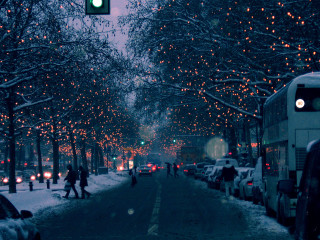 Street cars people night green - a photo free wallpaper