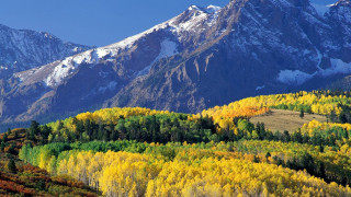 Mountain range snow capped forest - a jigsaw puzzle free wallpaper for desktop