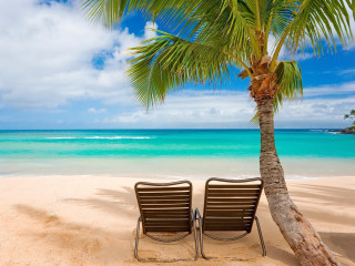 Beach chairs palm tree ocean 3 - two chair free wallpaper