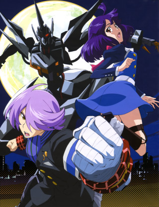 Anime characters full moon bats - overhead in the sky free wallpaper