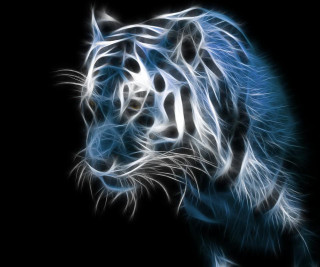 Blue tiger artistic photo face - alison kinnaird free wallpaper