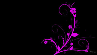 Purple flower black background swirls - a purple flower free wallpaper