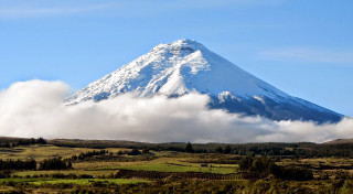 Snowy mountain green field blue - the foreground free wallpaper
