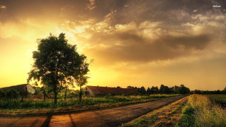 Dirt road tree barn sunset 2 - beautiful landscape free wallpaper