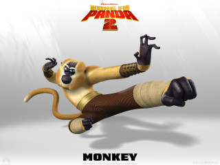 Monkey air legs spread head - his leg free wallpaper
