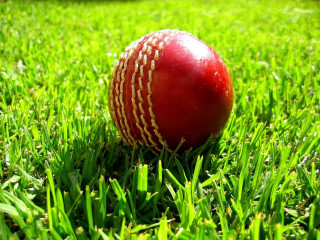Red cricket ball green field - brian chippy dugan free wallpaper