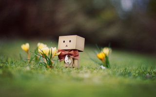 Cardboard toy bow grass flowers 2 - a cardboard box free wallpaper