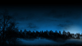 Dark forest fog trees cloudy - dark atmosphere free wallpaper