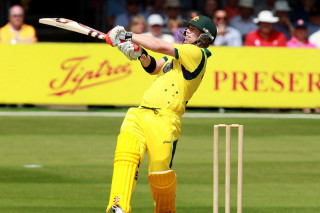 Man yellow batting field crowd 2 - hopper free wallpaper