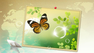 Butterfly bubble green background world - felipe seade free wallpaper