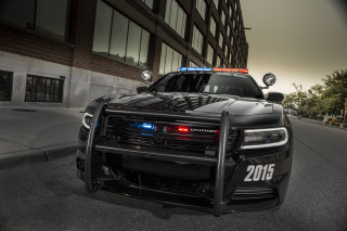 Police car parked road building - a police car free wallpaper