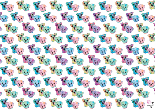 Teddy bear colorful pattern face - kaw free wallpaper