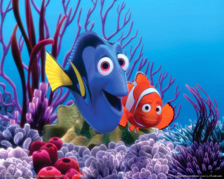 Clown fish clown fish coral - eugene montgomery free wallpaper