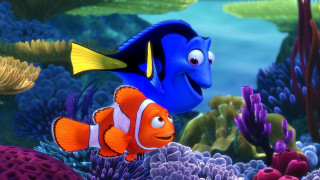 Blue fish yellow eyes coral - neofauvism free wallpaper