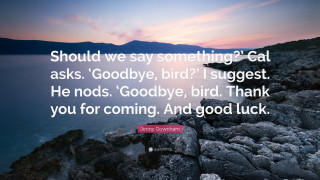 Maryann love life artist birds - andy goldsworthy free wallpaper