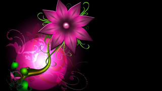 Pink flower green leaves black 2 - rich free wallpaper