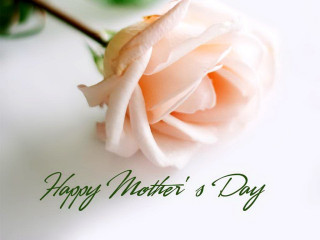 Pink rose white table mothers 2 - a white table next free wallpaper