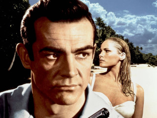 Man gun woman beach palm 2 - arnold mesches free wallpaper