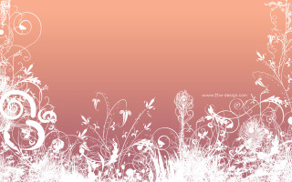 White pink floral background text - floral free wallpaper