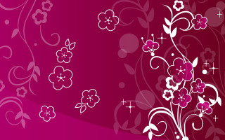 Pink background white flowers stars - the bottom of the image free wallpaper