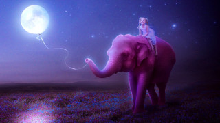 Woman elephant full moon sky - full free wallpaper